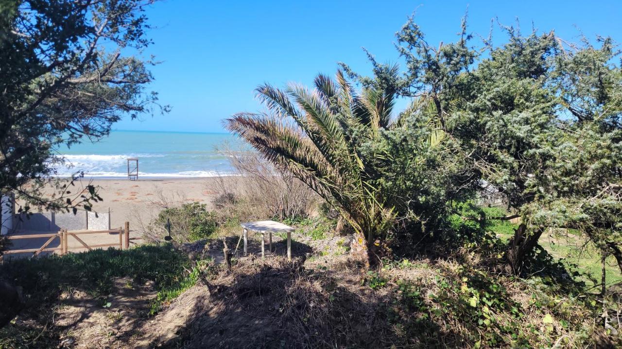 Miledy Monolocale Direttamente Sul Mare Daire Marina di Castagneto Carducci Dış mekan fotoğraf